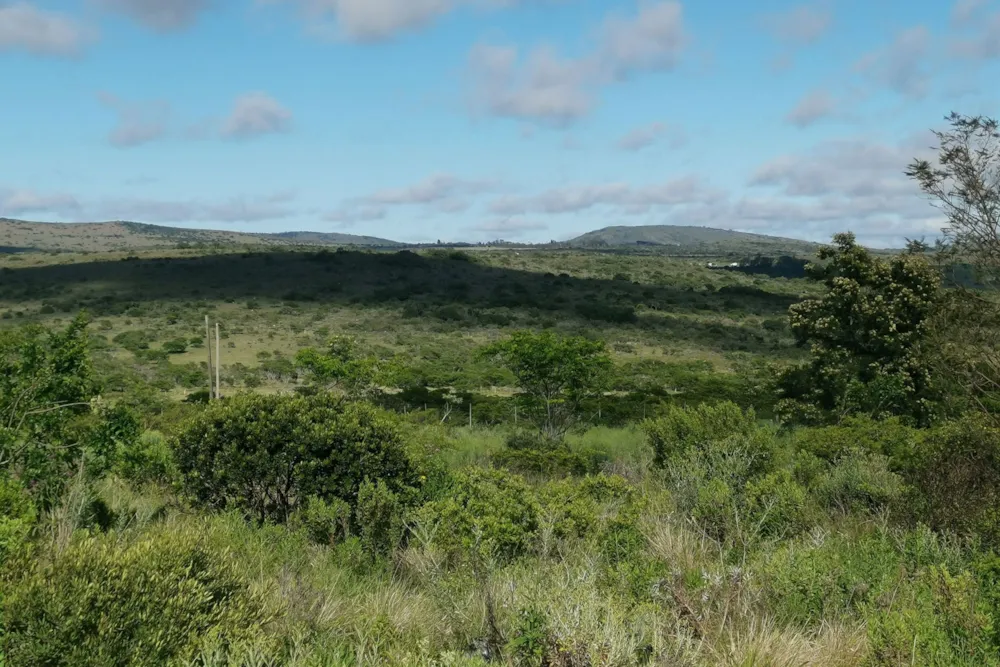 Vacant land sold in Grahamstown (Makhanda) - 1GC1682530 Vacant land sold in Grahamstown (Makhanda) - 1GC1682530