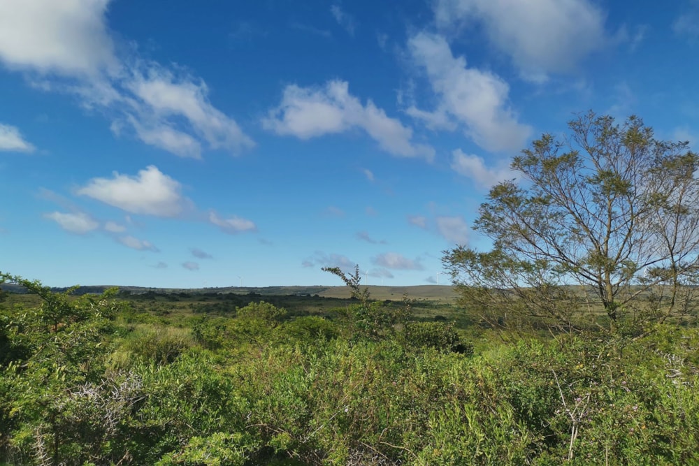 Vacant land for sale in Grahamstown (Makhanda) - 1GC1682530 Vacant land for sale in Grahamstown (Makhanda) - 1GC1682530