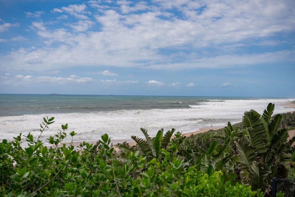 Apartment sold in Westbrook, Ballito - 1BD1680655 Apartment sold in Westbrook, Ballito - 1BD1680655