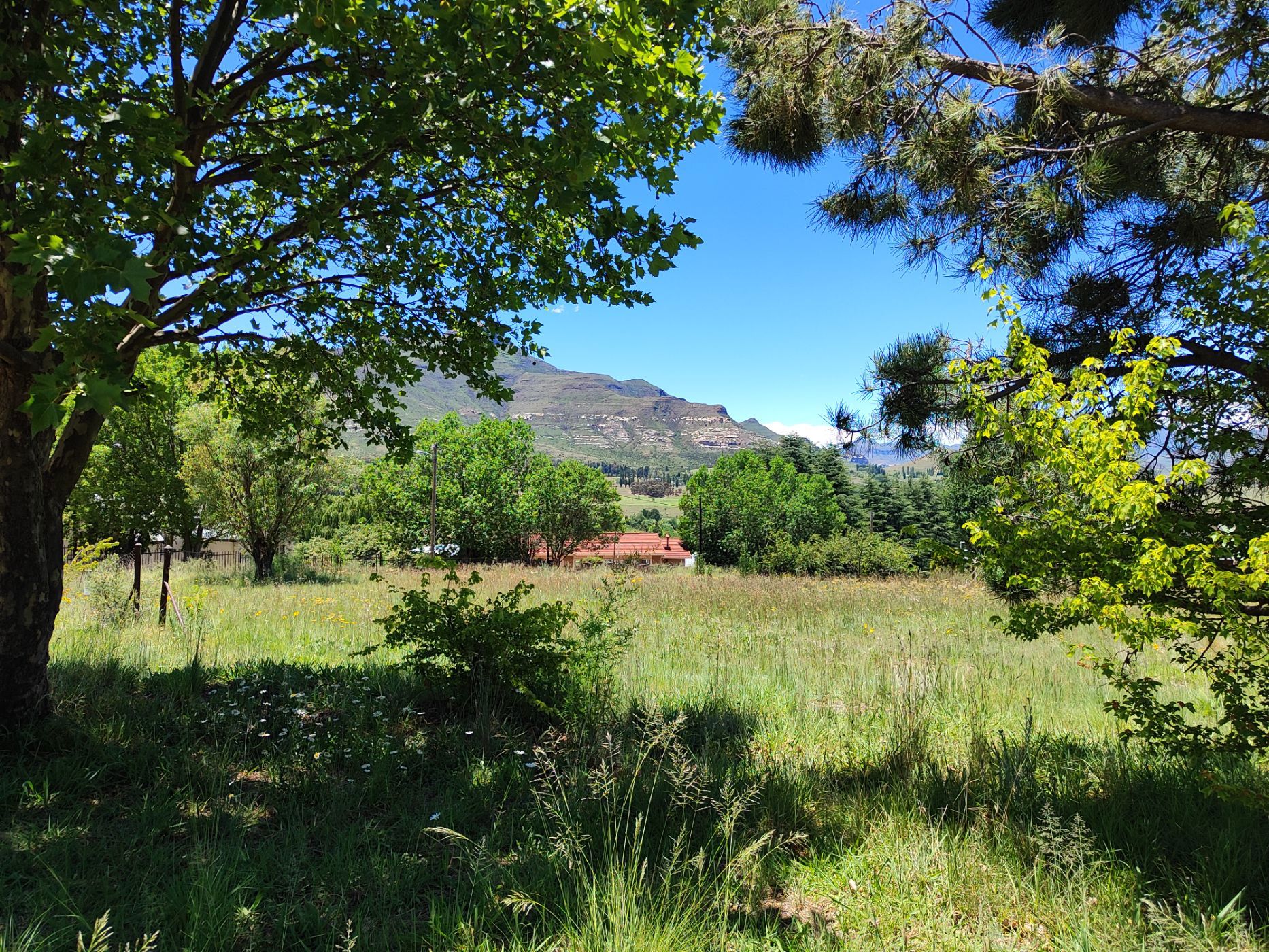 Vacant land for sale in Clarens - 1CS1746583