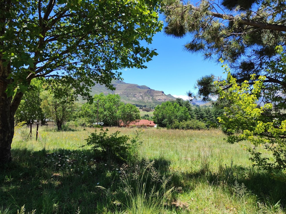 Vacant land for sale in Clarens - 1CS1746583 Vacant land for sale in Clarens - 1CS1746583