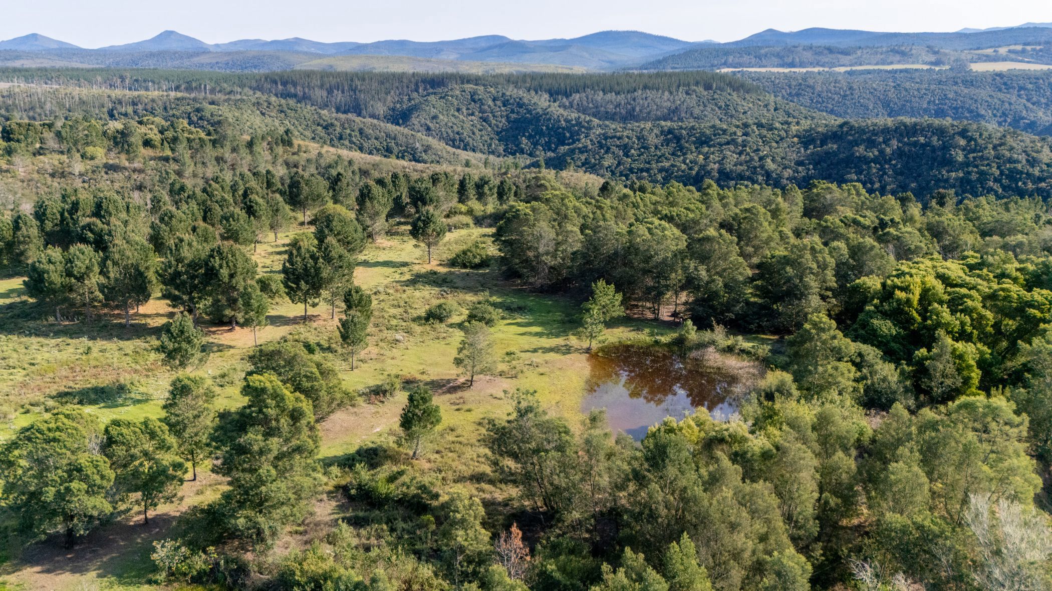 Mixed use farm for sale in Plettenberg Bay Rural - 1KG1684477
