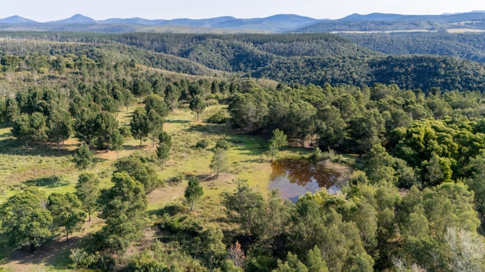 Mixed use farm for sale in Plettenberg Bay Rural - 1KG1684477 Mixed use farm for sale in Plettenberg Bay Rural - 1KG1684477