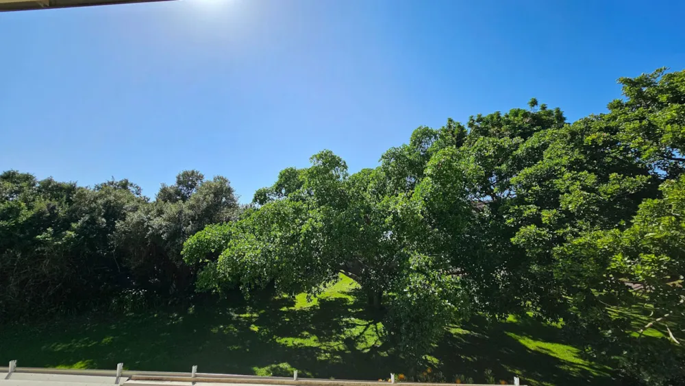 Apartment to rent in Goose Valley - 1KG1635454