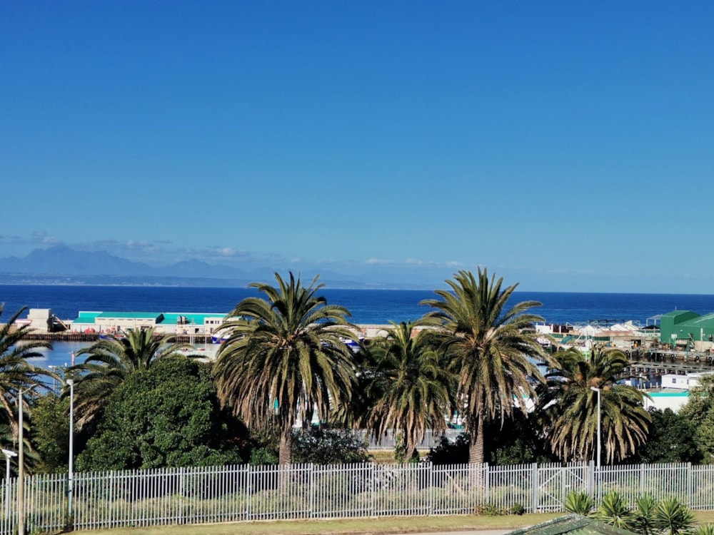 Apartment let in Mossel Bay Central - 1MB1682950 Apartment let in Mossel Bay Central - 1MB1682950