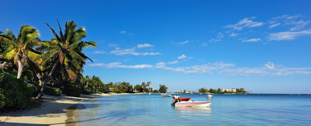 Apartment let in Bain Boeuf, Mauritius - MPR1640250 Apartment let in Bain Boeuf, Mauritius - MPR1640250