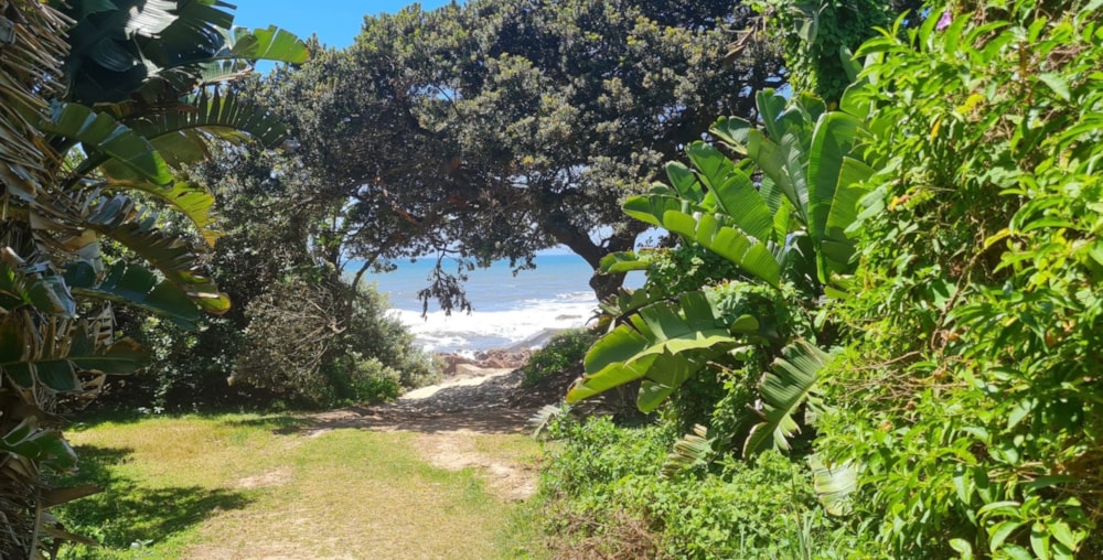 House for sale in Palm Beach - 1PD1683098