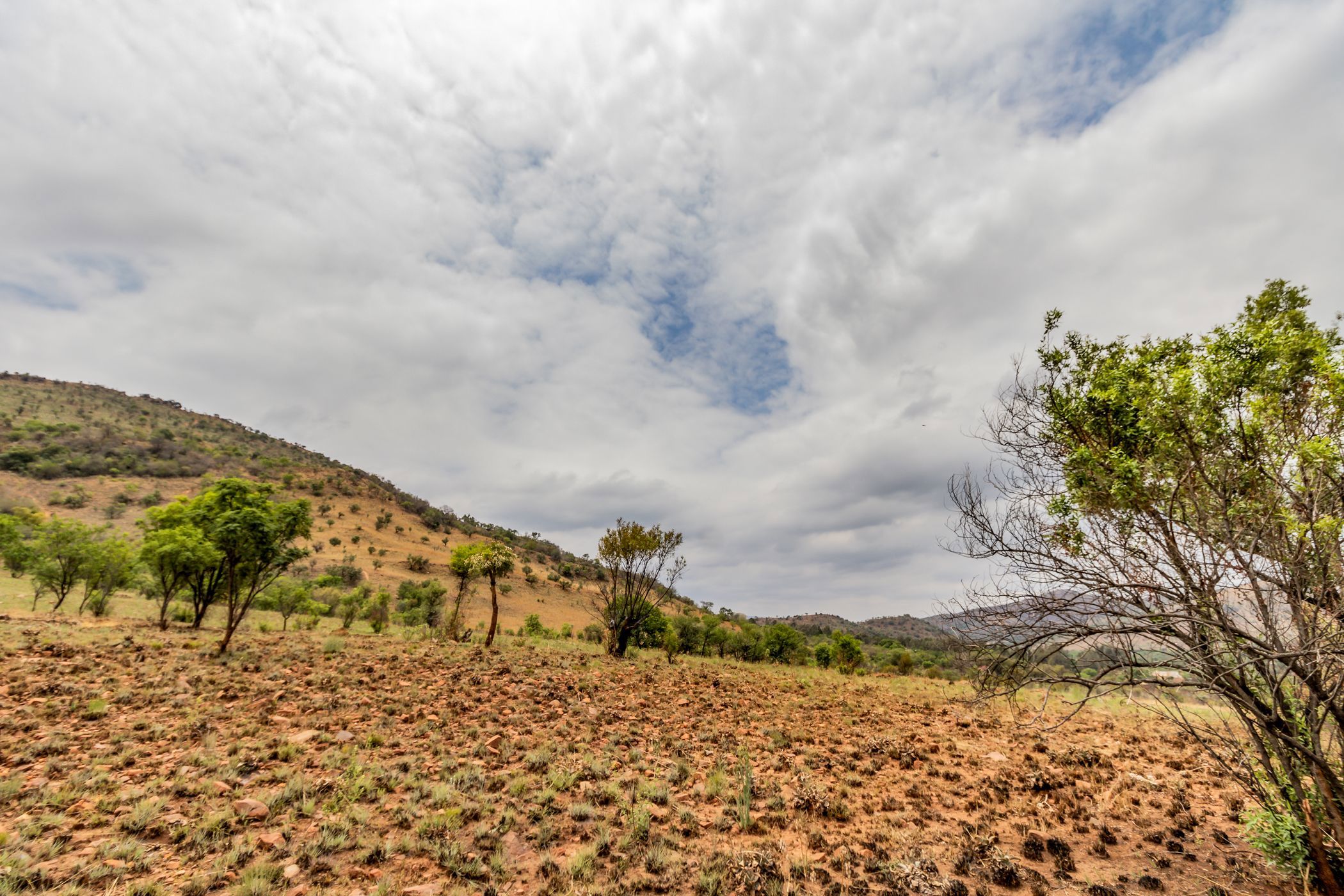 Vacant land for sale in Broederstroom - 1HR1662941