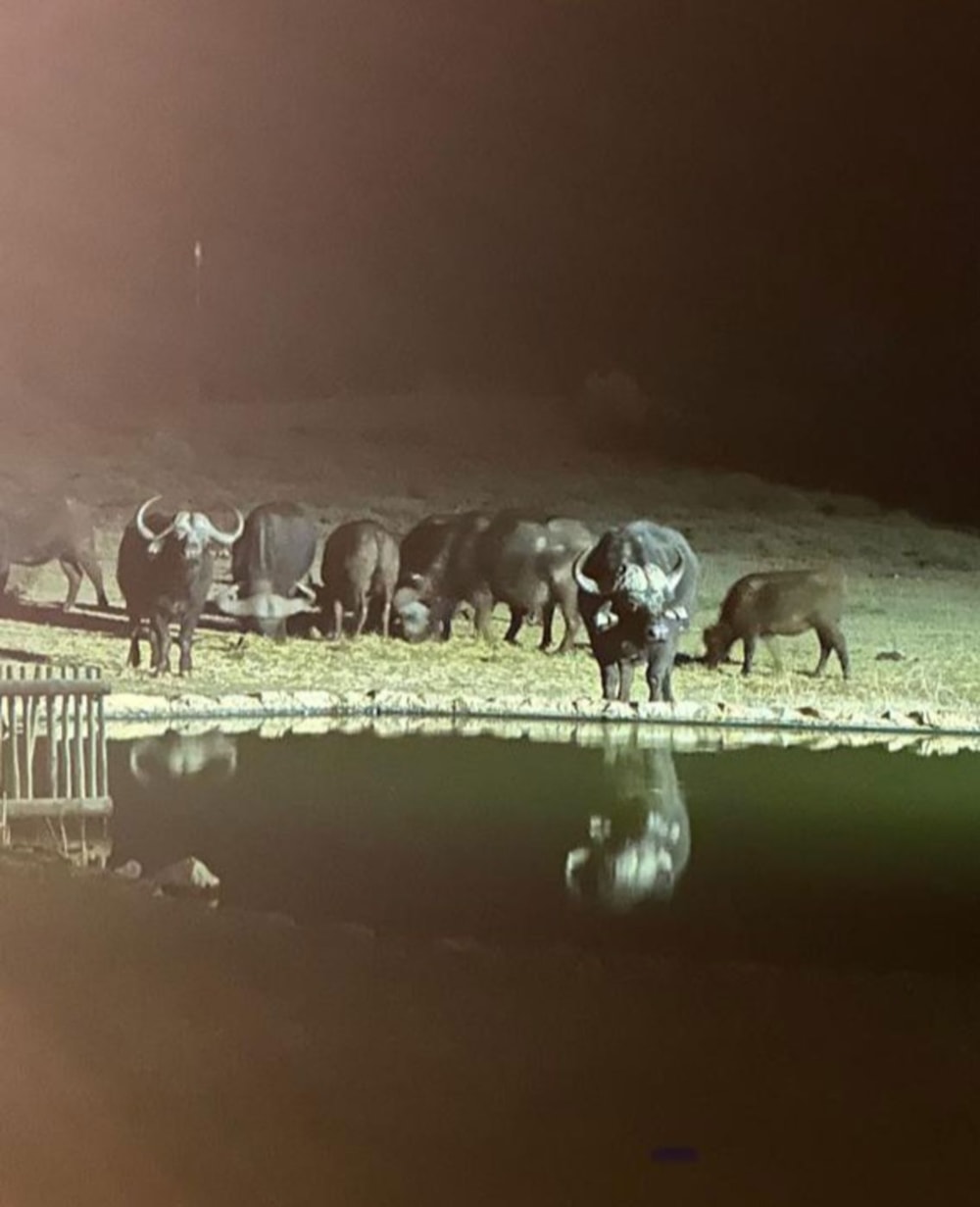 Game farm sold in Steytlerville - 1KK1666543 Game farm sold in Steytlerville - 1KK1666543