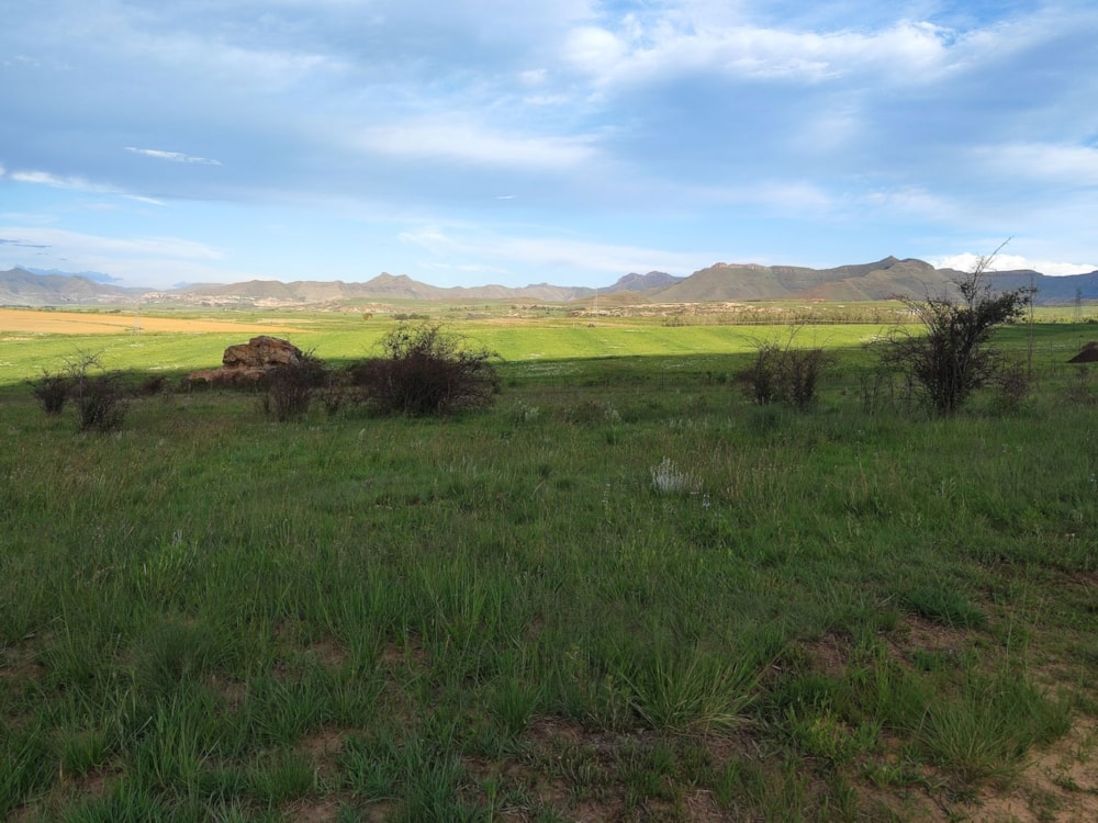 Vacant land for sale in Clarens - 1CS1667233 Vacant land for sale in Clarens - 1CS1667233