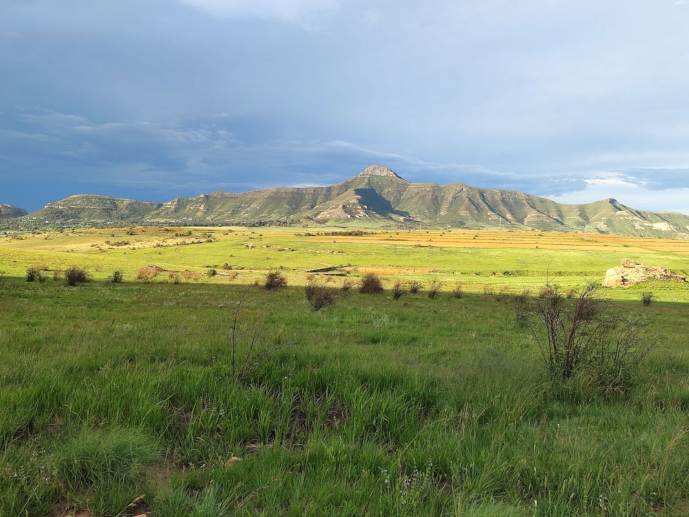 Vacant land for sale in Clarens - 1CS1667233 Vacant land for sale in Clarens - 1CS1667233