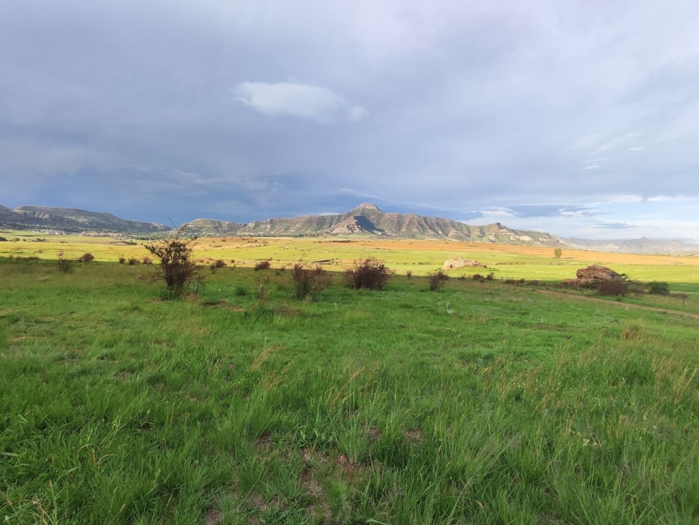 Vacant land for sale in Clarens - 1CS1667233 Vacant land for sale in Clarens - 1CS1667233