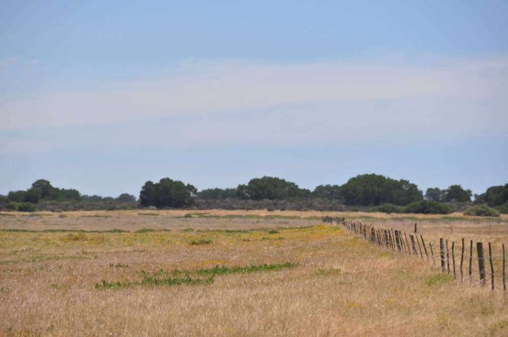 Mixed use farm for sale in Velddrif - LA1680849 Mixed use farm for sale in Velddrif - LA1680849