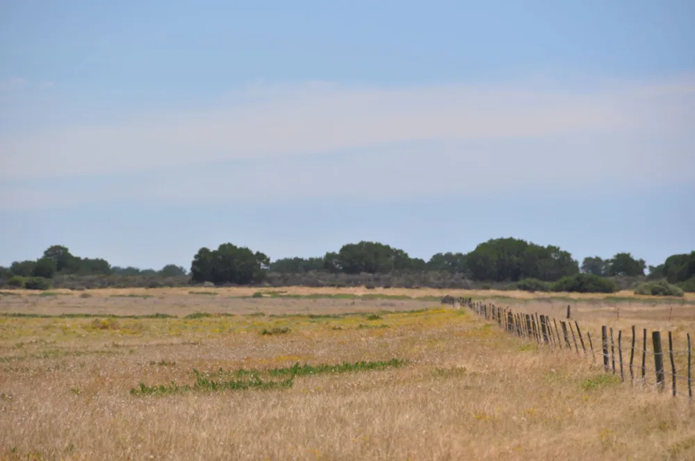 Mixed use farm for sale in Velddrif - LA1680849 Mixed use farm for sale in Velddrif - LA1680849