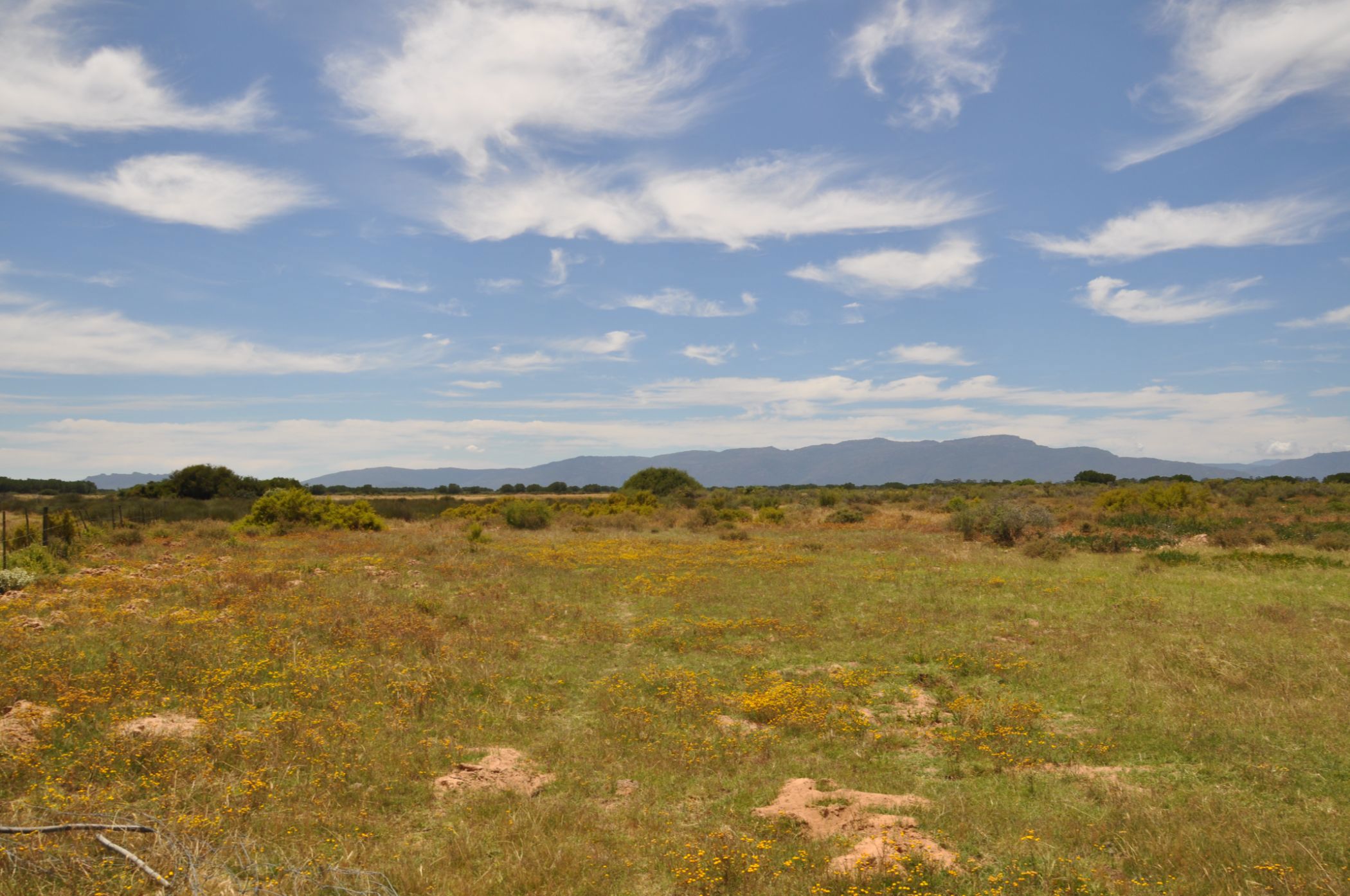 Mixed use farm for sale in Velddrif - LA1680849