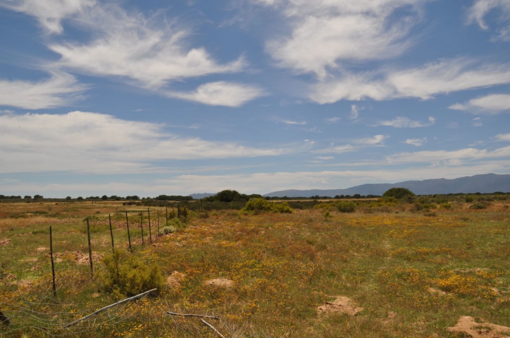 Mixed use farm for sale in Velddrif - LA1680849