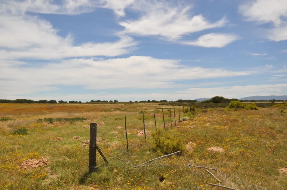 Mixed use farm for sale in Velddrif - LA1680849 Mixed use farm for sale in Velddrif - LA1680849