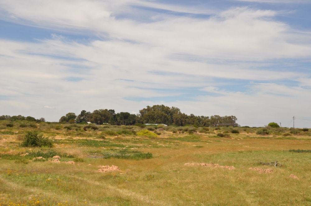 Mixed use farm for sale in Velddrif - LA1680849 Mixed use farm for sale in Velddrif - LA1680849