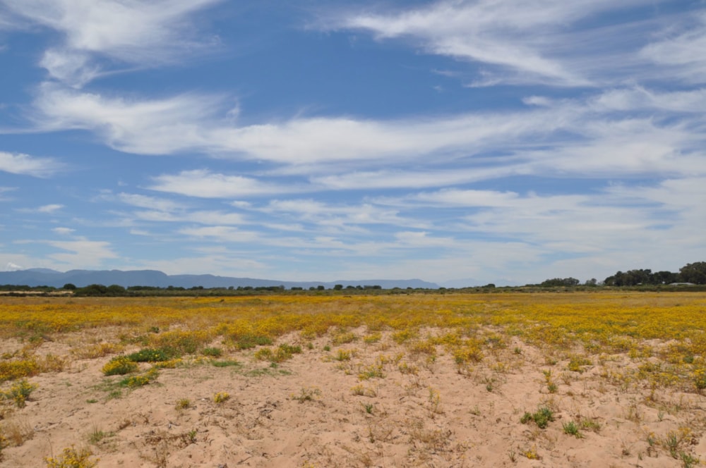 Mixed use farm for sale in Velddrif - LA1680849 Mixed use farm for sale in Velddrif - LA1680849