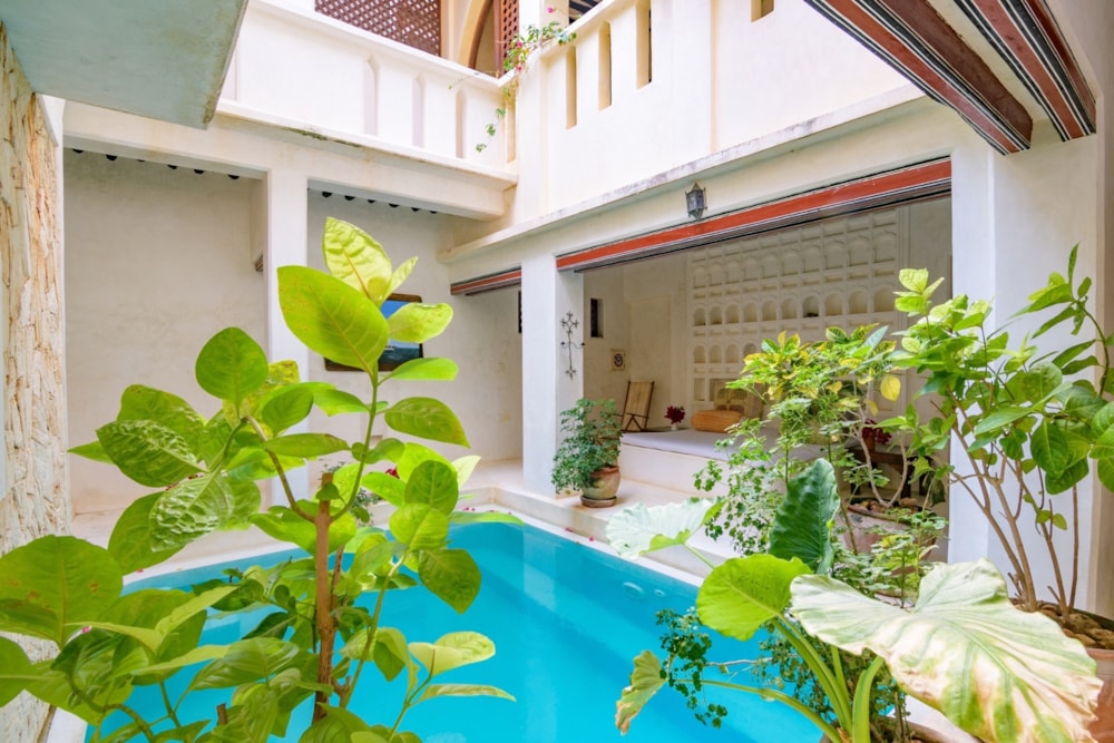 House for sale in Lamu, Kenya - 3KE1680432 House for sale in Lamu, Kenya - 3KE1680432