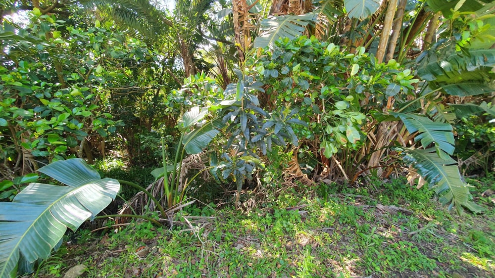 Residential vacant land for sale in Leisure Bay - 1PD1680623 Residential vacant land for sale in Leisure Bay - 1PD1680623