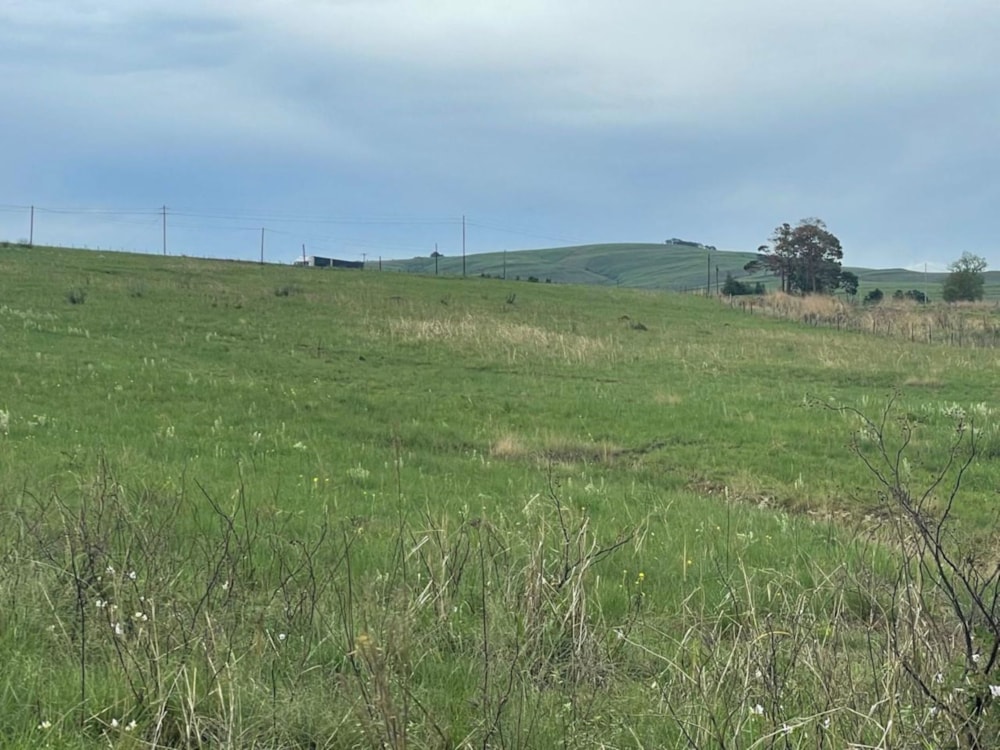 Farm vacant land for sale in Machadodorp, Mpumalanga - 1DS1680674