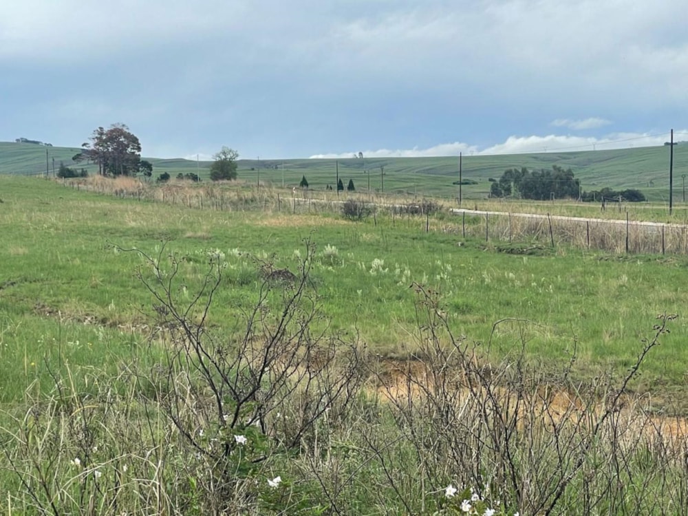 Farm vacant land for sale in Machadodorp, Mpumalanga - 1DS1680674