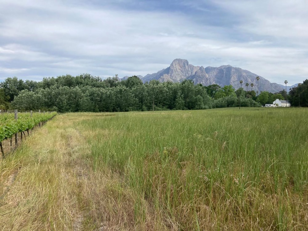 Farm vacant land sold in Franschhoek Rural - FWI1681128