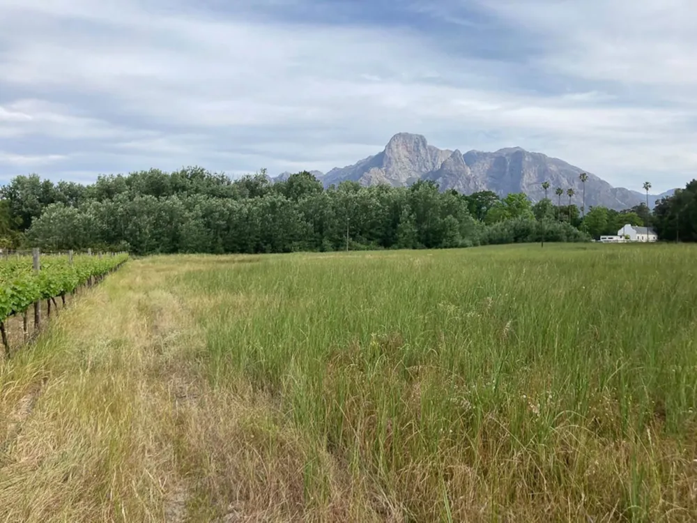 Farm vacant land sold in Franschhoek Rural - FWI1681128 Farm vacant land sold in Franschhoek Rural - FWI1681128