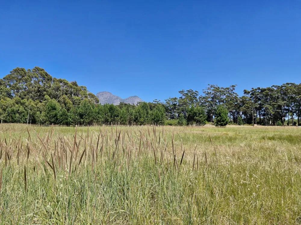 Farm vacant land sold in Franschhoek Rural - FWI1681128 Farm vacant land sold in Franschhoek Rural - FWI1681128