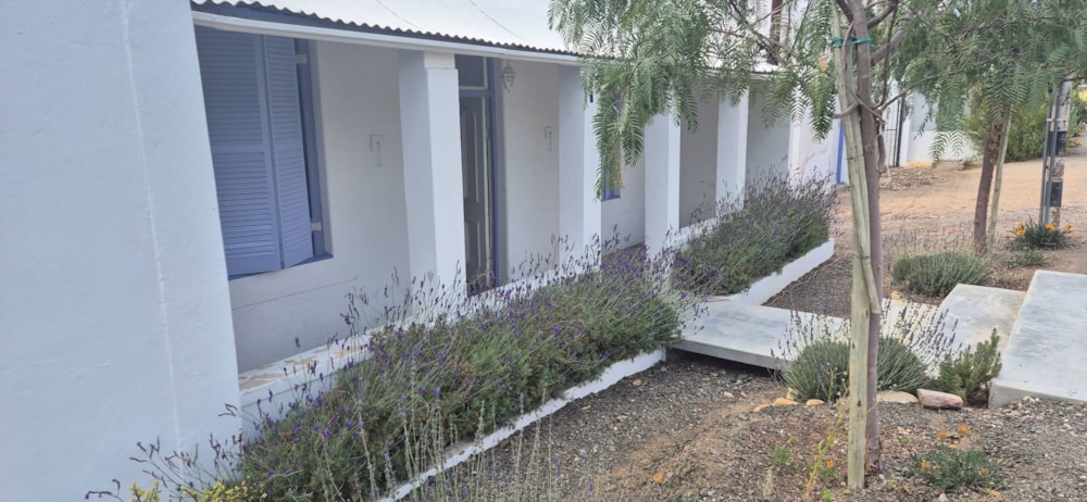 Single-storey house sold in Prince Albert - 1KK1680807 Single-storey house sold in Prince Albert - 1KK1680807