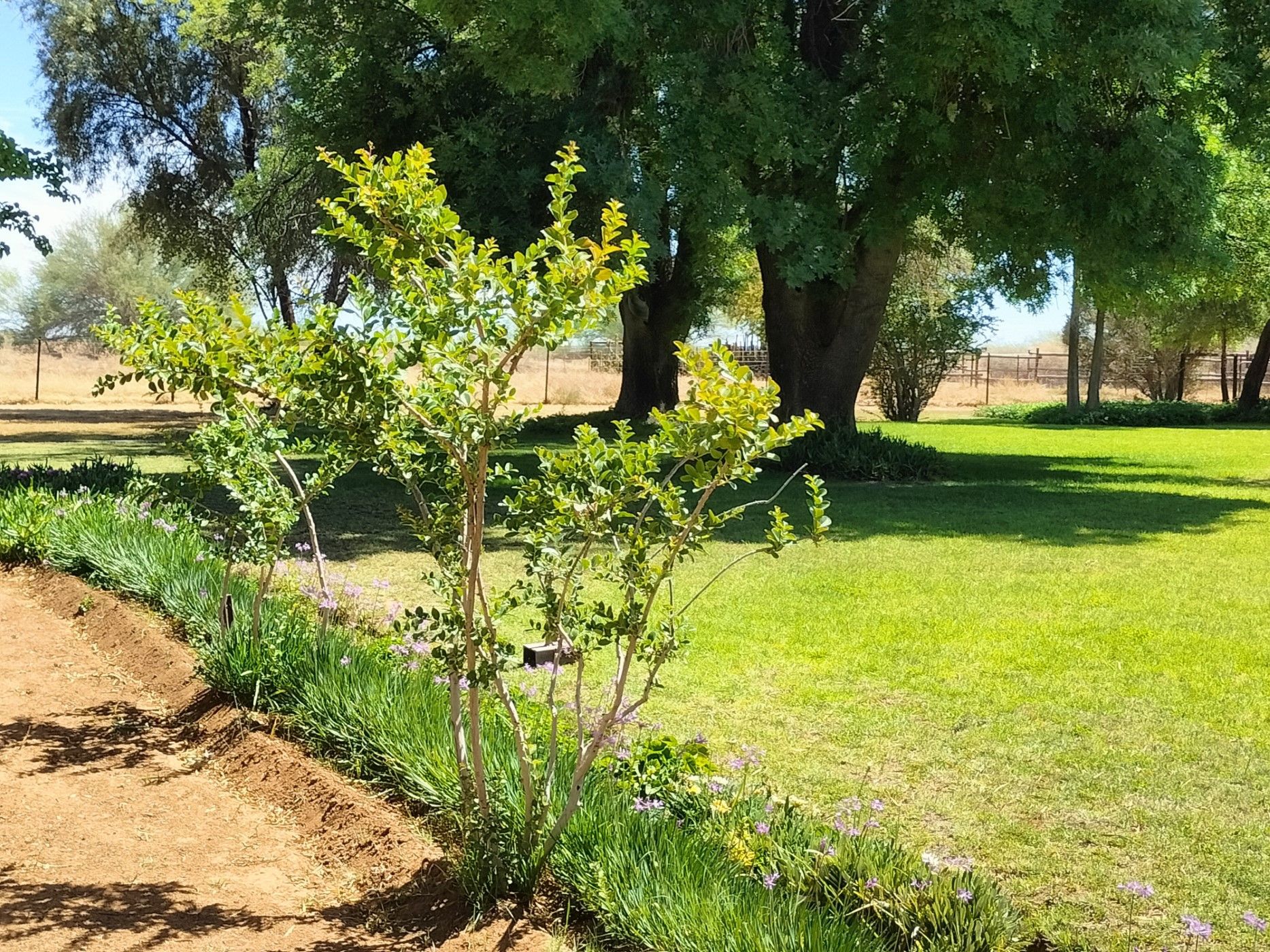 Smallholding for sale in Douglas - 1KJ1681201