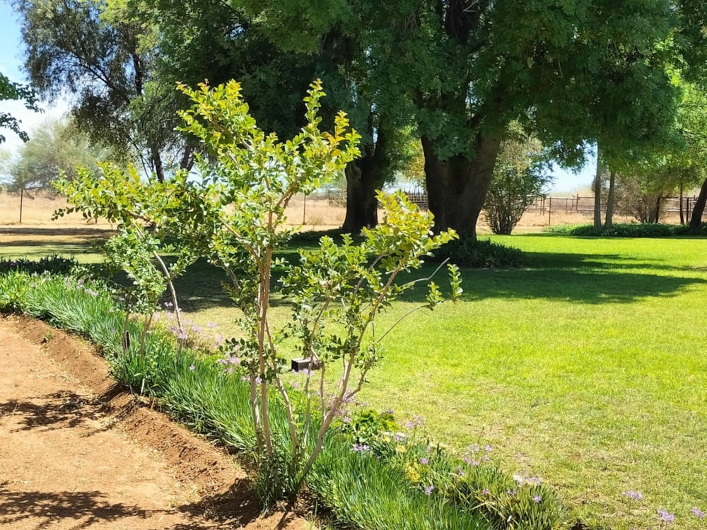 Smallholding for sale in Douglas - 1KJ1681201