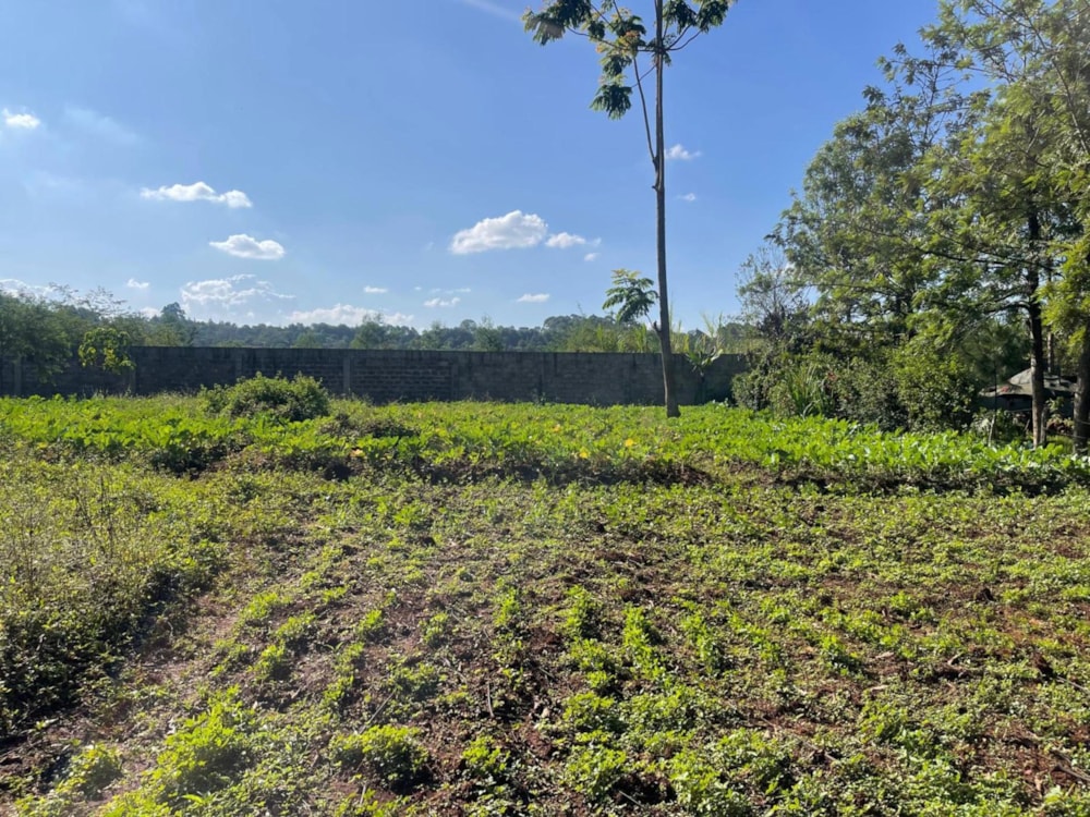 Residential vacant land for sale in Loresho, Kenya - 3KE1681118 Residential vacant land for sale in Loresho, Kenya - 3KE1681118