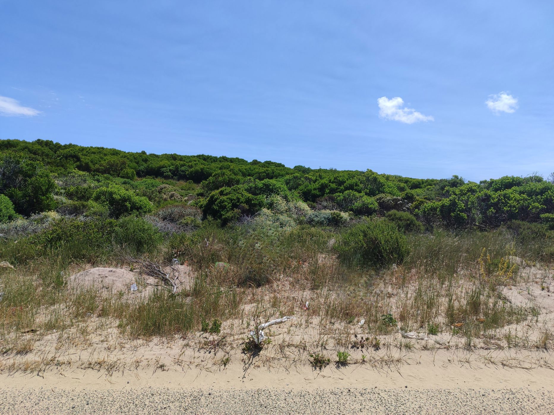 Vacant land for sale in Kleinbaai - 1SW1681935