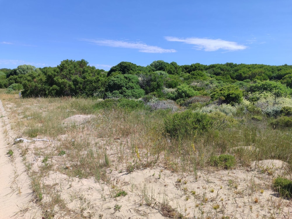 Vacant land for sale in Kleinbaai - 1SW1681935 Vacant land for sale in Kleinbaai - 1SW1681935