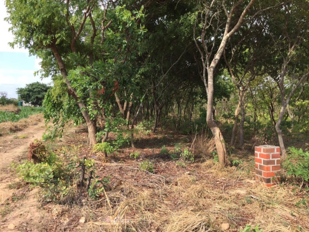 Residential vacant land for sale in Foxdale, Zambia - 3ZA1681699
