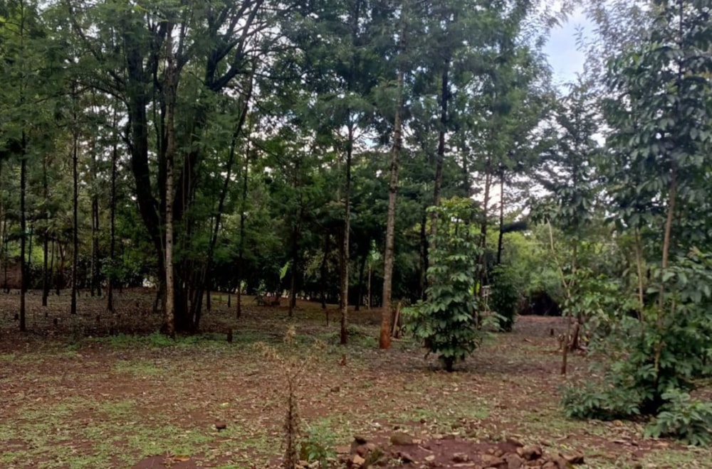 Residential vacant land sold in Karen, Kenya - 3KE1681713