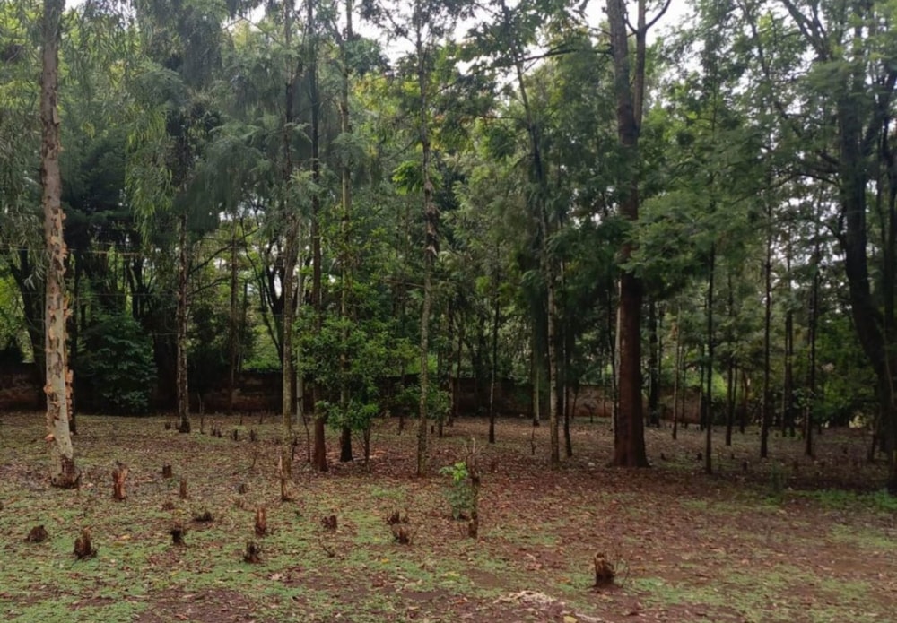 Residential vacant land sold in Karen, Kenya - 3KE1681713