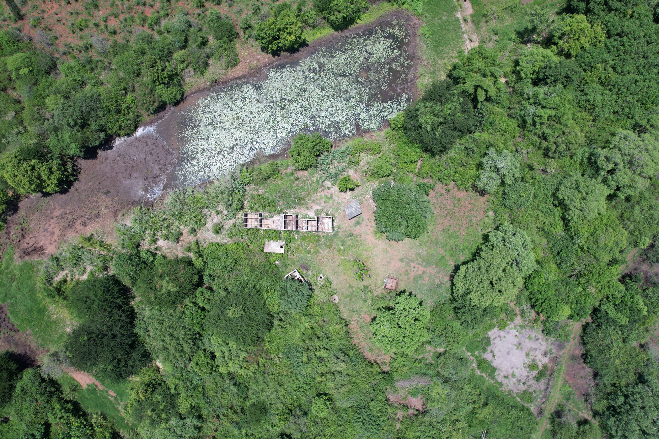 Farm vacant land for investment in Namaacha, Mozambique - 3MQ1681899