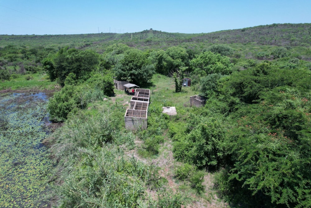 Farm vacant land for investment in Namaacha, Mozambique - 3MQ1681899