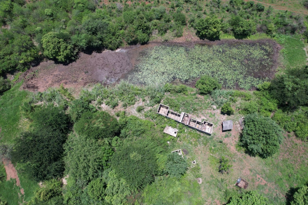 Farm vacant land for investment in Namaacha, Mozambique - 3MQ1681899