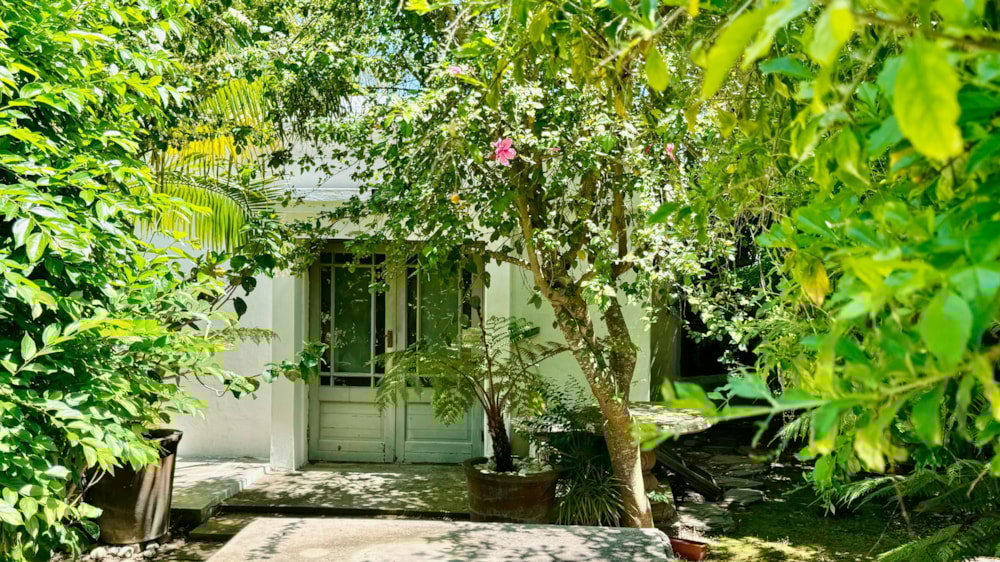 House for sale in Swellendam - 1SW1681985 House for sale in Swellendam - 1SW1681985