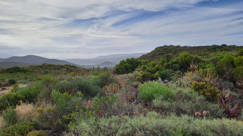 Mixed use farm for sale in McGregor - MG1682319 Mixed use farm for sale in McGregor - MG1682319