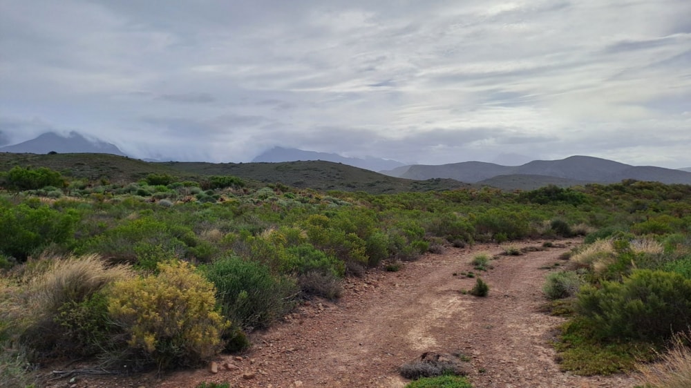 Mixed use farm for sale in McGregor - MG1682319 Mixed use farm for sale in McGregor - MG1682319