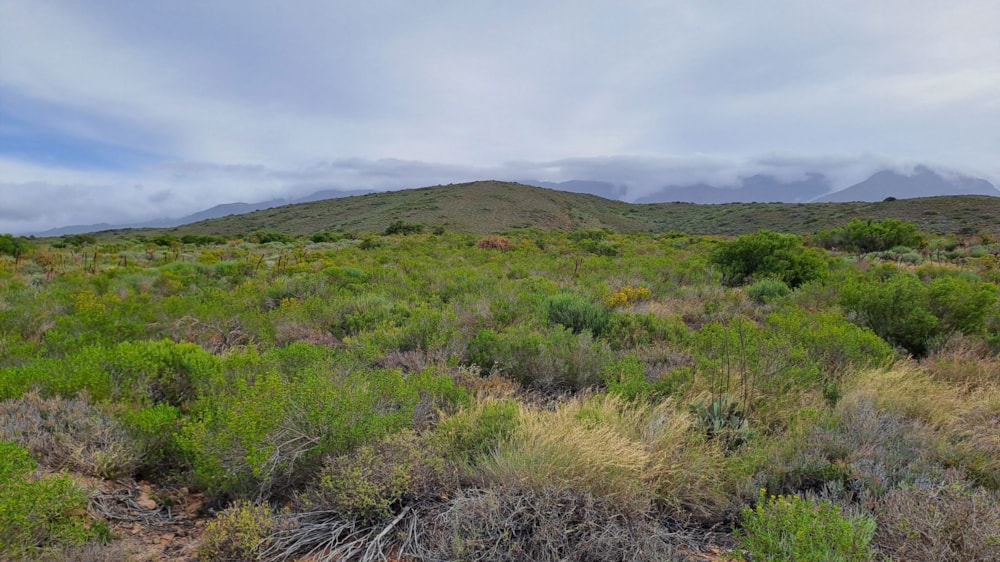 Mixed use farm for sale in McGregor - MG1682319 Mixed use farm for sale in McGregor - MG1682319