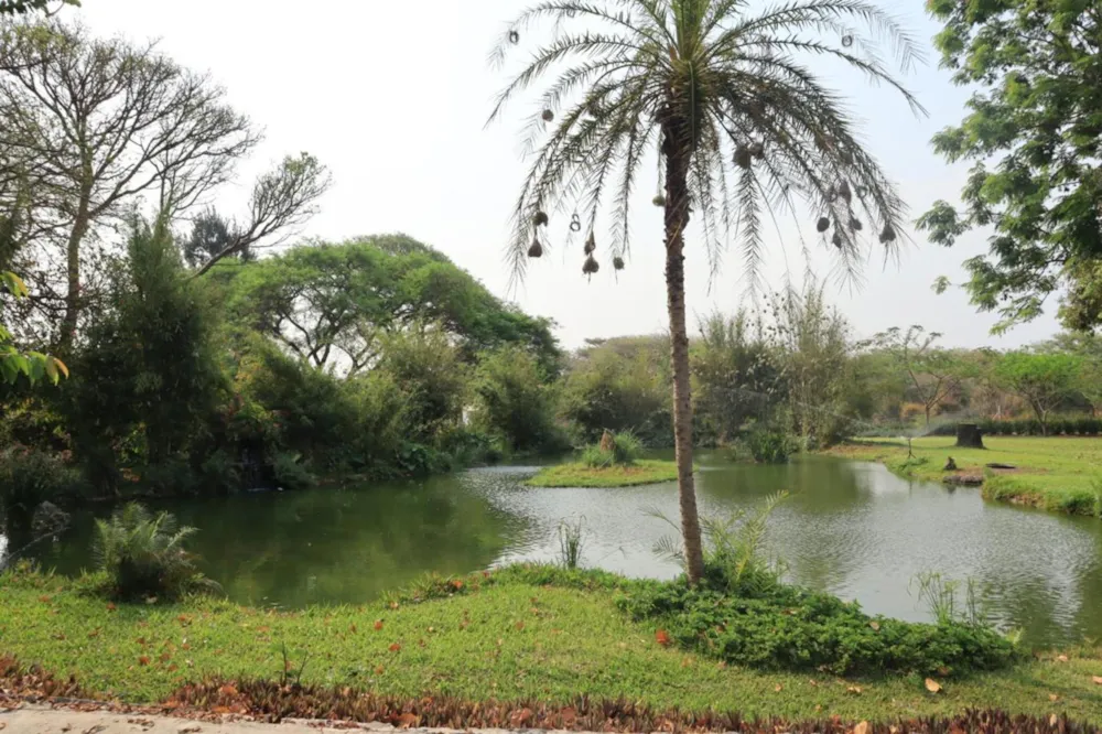 Poultry farm for sale in Leopards Hill, Zambia - 3ZA1682409