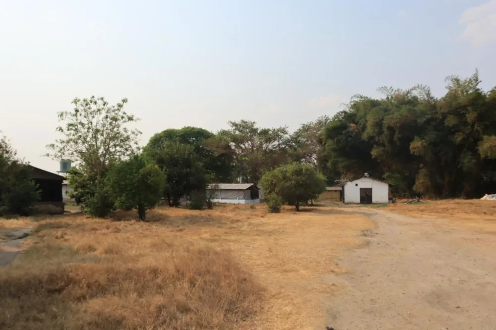 Poultry farm for sale in Leopards Hill, Zambia - 3ZA1682409