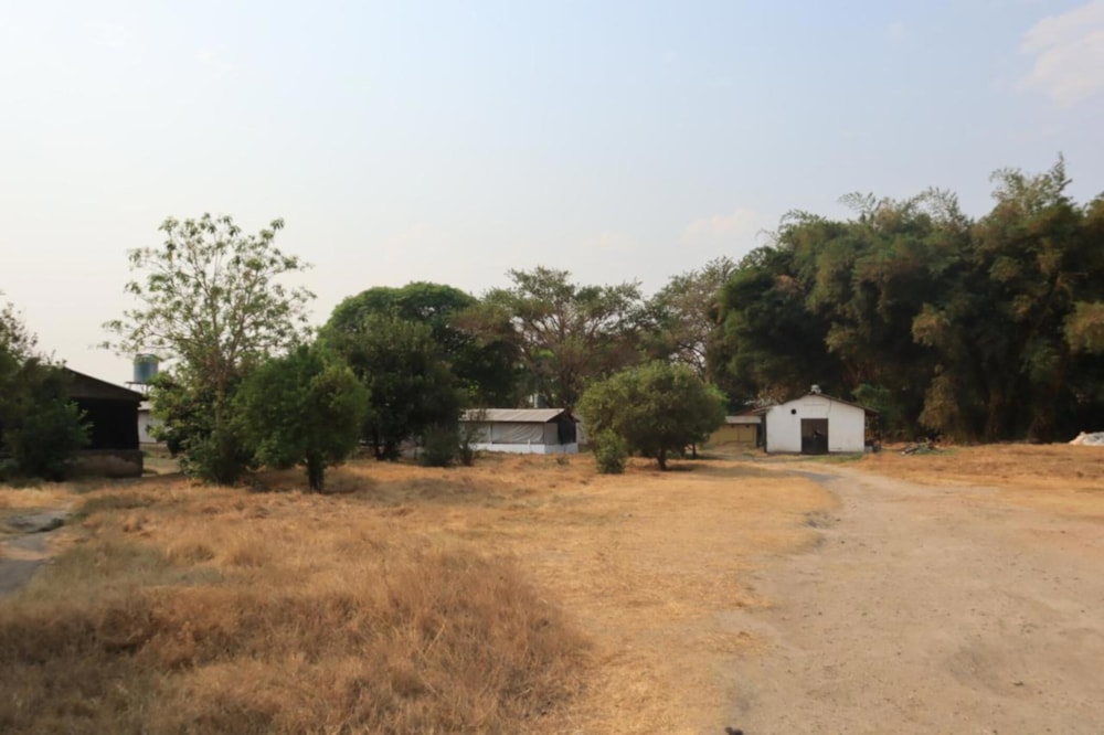 Poultry farm for sale in Leopards Hill, Zambia - 3ZA1682409 Poultry farm for sale in Leopards Hill, Zambia - 3ZA1682409