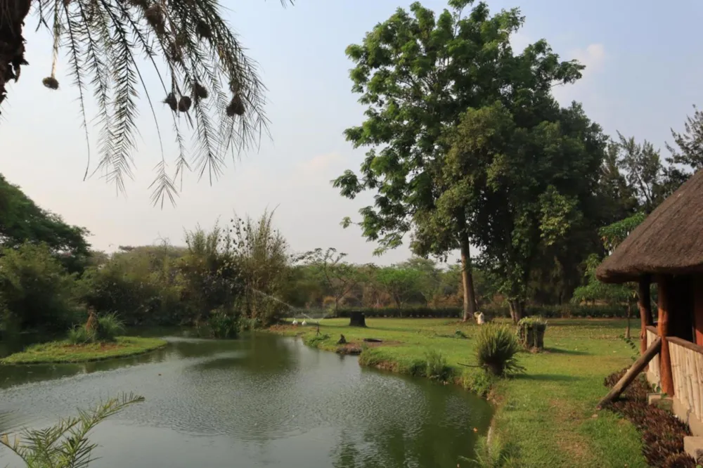 Poultry farm for sale in Leopards Hill, Zambia - 3ZA1682409